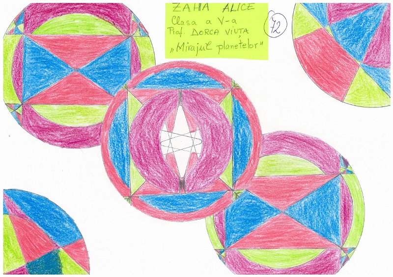 72_Alice ZAHA_Miresu Mare.jpg